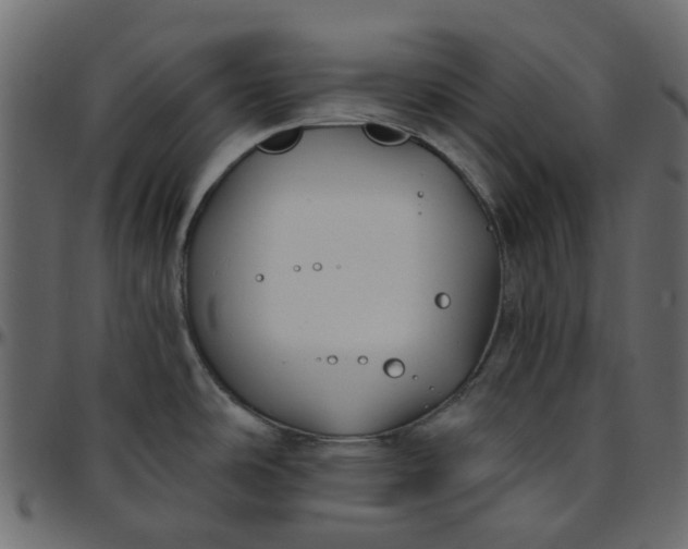 X0000095681486200801221215