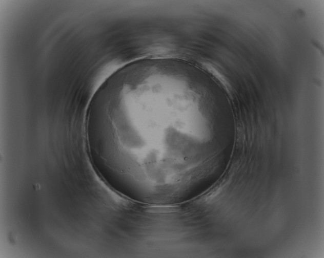 X0000095681487200801221215