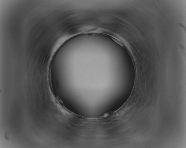 X0000095681488200801221215