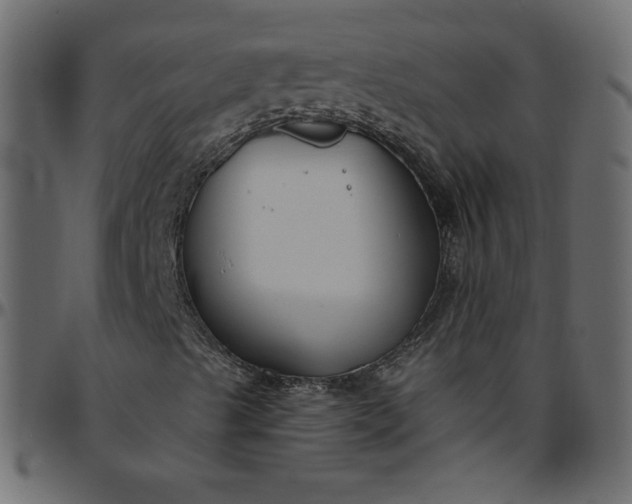 X0000095681489200801221214