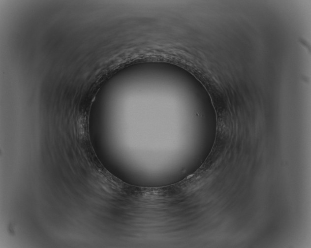 X0000095681490200801221214