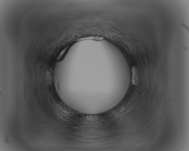 X0000095681491200801221214