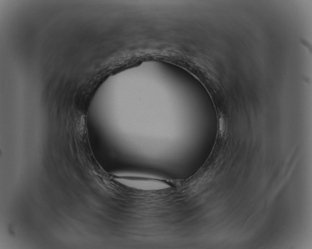 X0000095681492200801221214