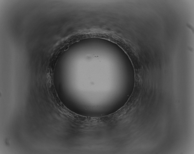 X0000095681493200801221214
