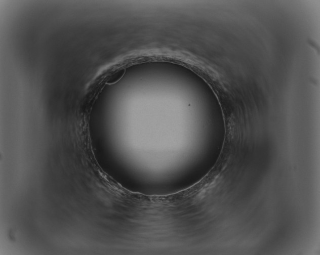 X0000095681494200801221214