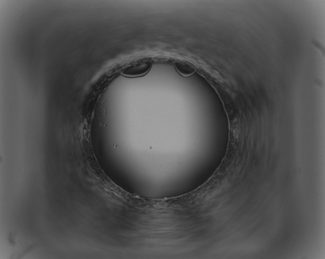 X0000095681495200801221214