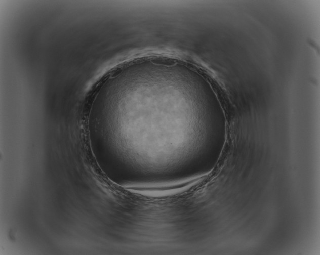 X0000095681496200801221214
