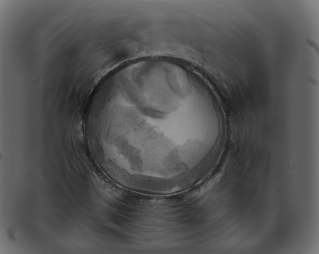 X0000095681497200801221214