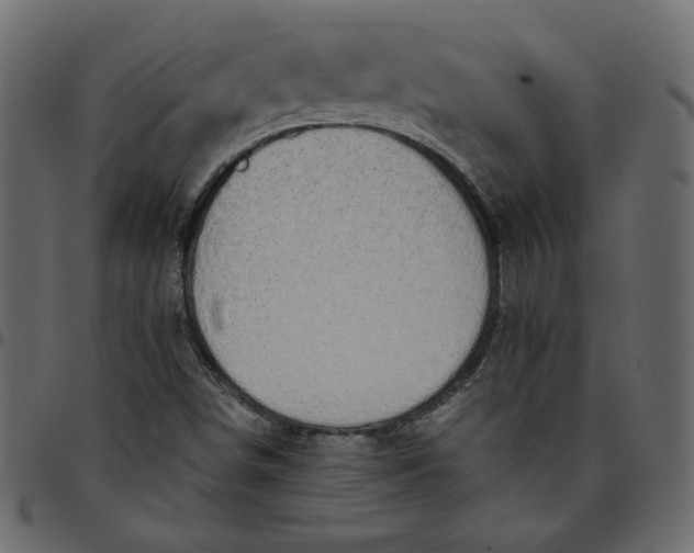 X0000095681498200801221214
