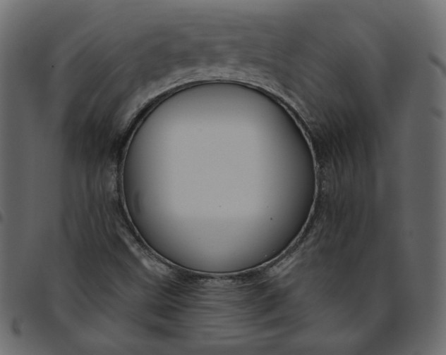 X0000095681499200801221214
