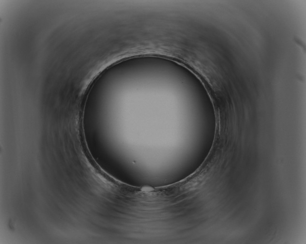 X0000095681500200801221214