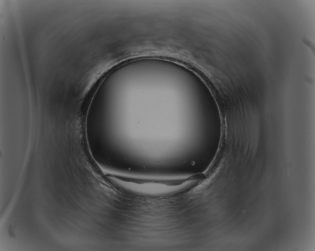 X0000095681501200801221214