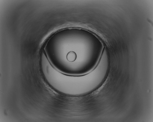 X0000095681502200801221214