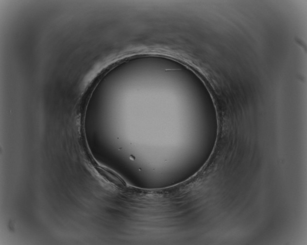 X0000095681503200801221214