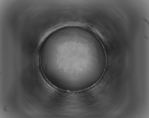 X0000095681504200801221214