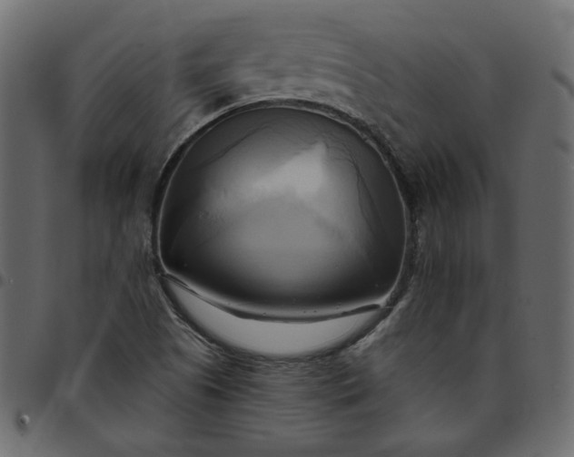 X0000095681505200801221214