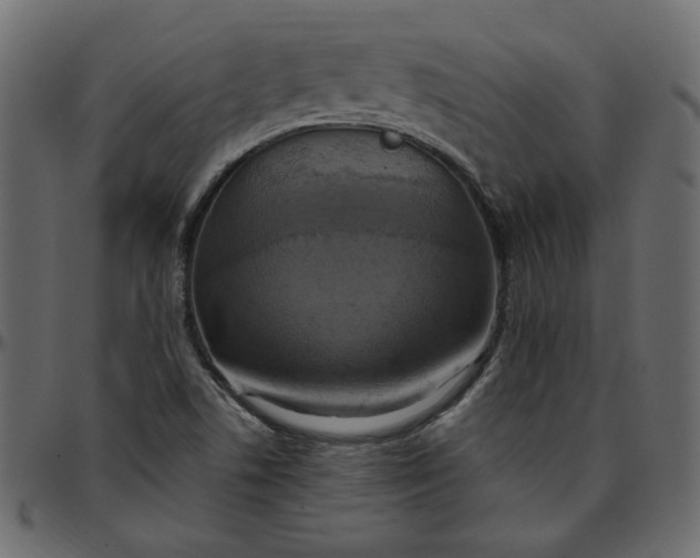 X0000095681506200801221214