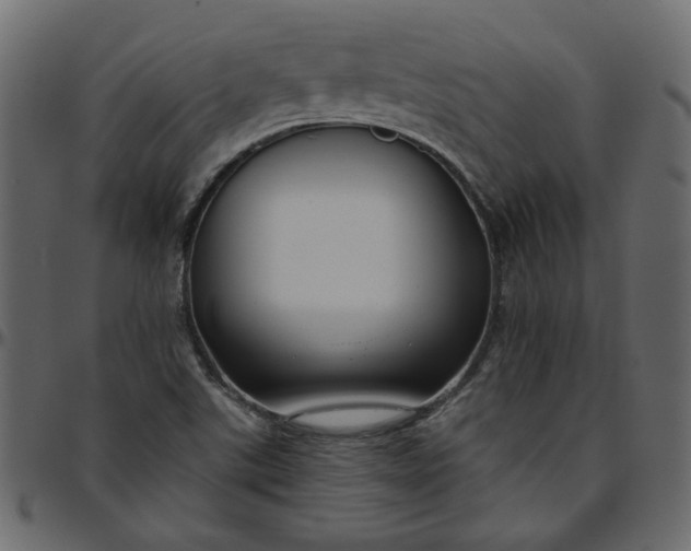 X0000095681507200801221214