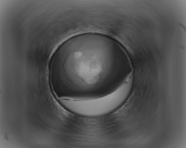 X0000095681508200801221214