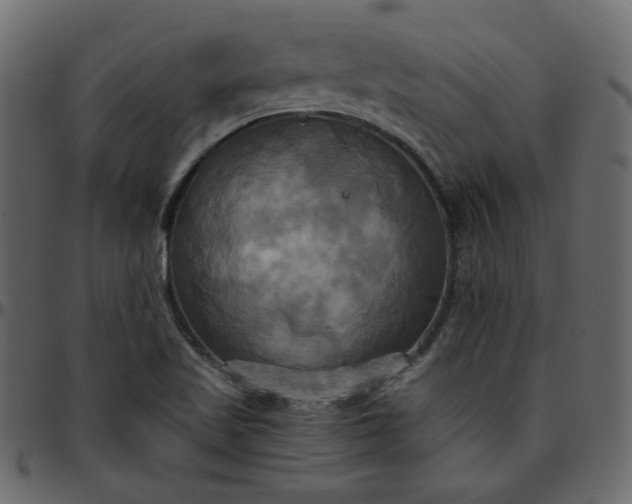 X0000095681509200801221214