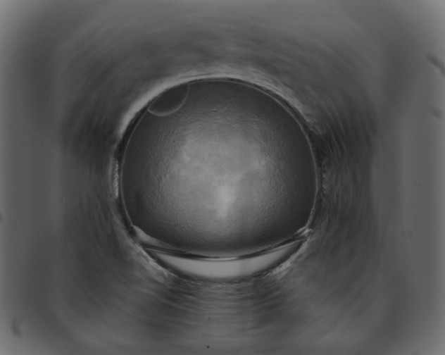X0000095681510200801221214