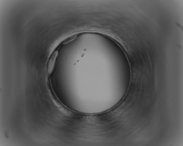 X0000095681511200801221214