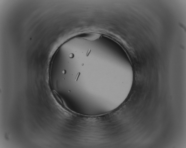 X0000095681512200801221215