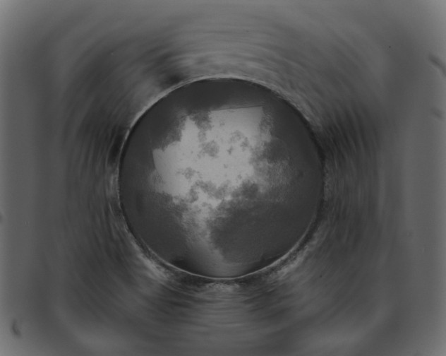 X0000095681513200801221215