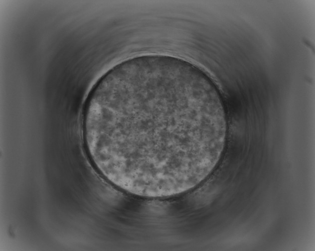 X0000095681514200801221215