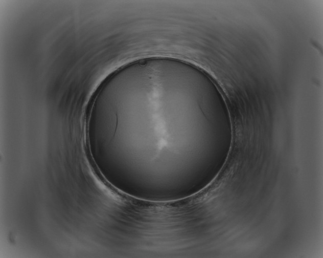 X0000095681515200801221215