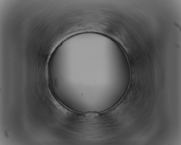 X0000095681516200801221215