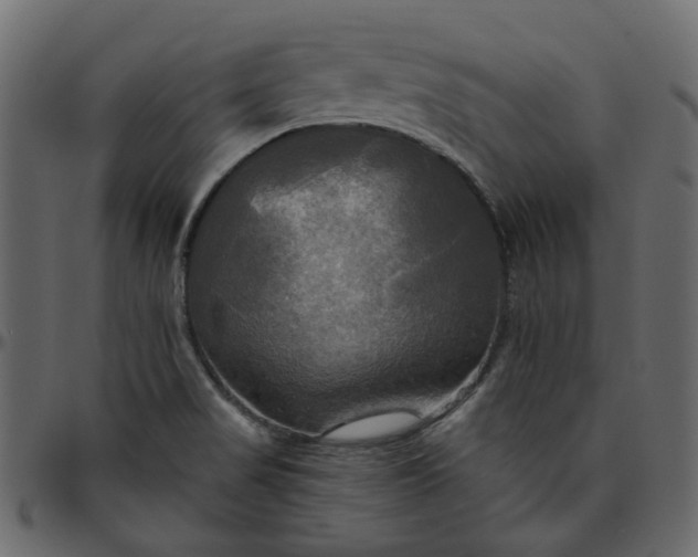 X0000095681517200801221215