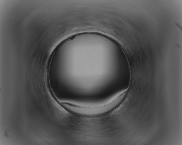 X0000095681518200801221215