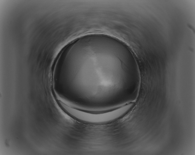 X0000095681519200801221215