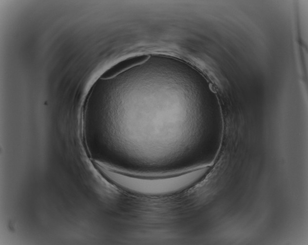 X0000095681520200801221215