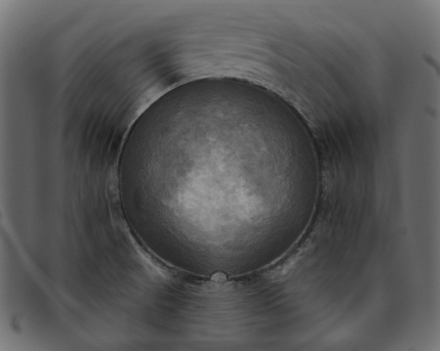 X0000095681521200801221215