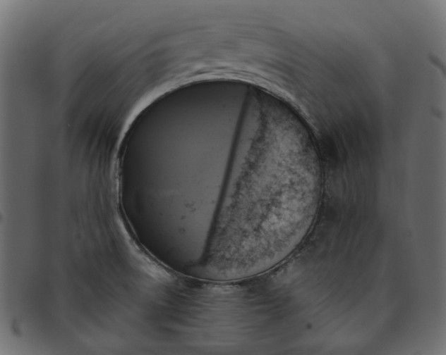 X0000095681522200801221215