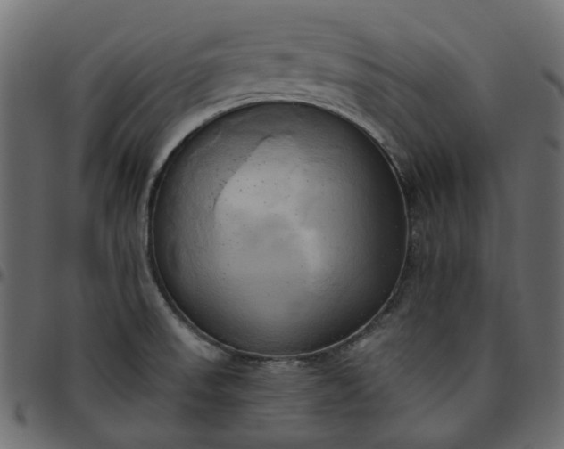 X0000095681523200801221215