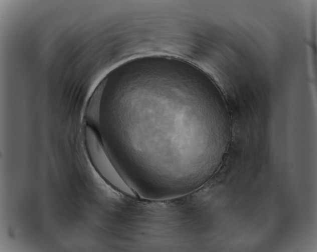 X0000095681524200801221215