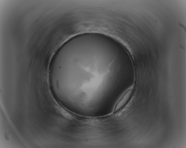 X0000095681525200801221215