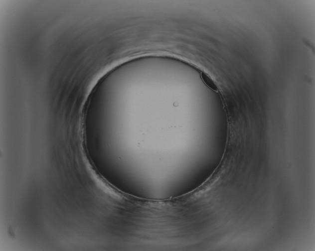 X0000095681526200801221215