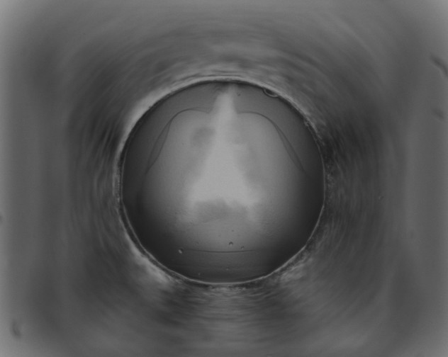 X0000095681527200801221215