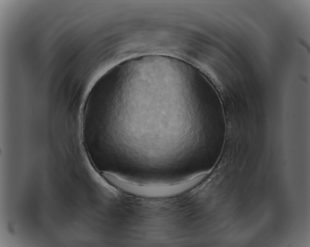 X0000095681528200801221215