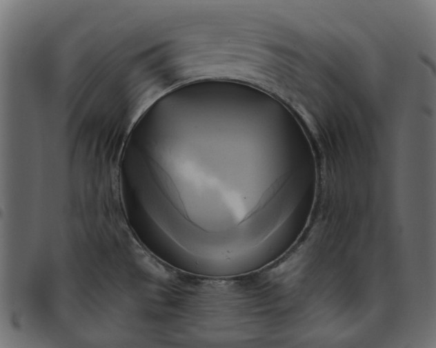 X0000095681529200801221215