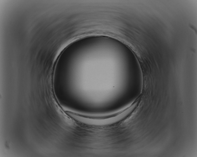 X0000095681530200801221215