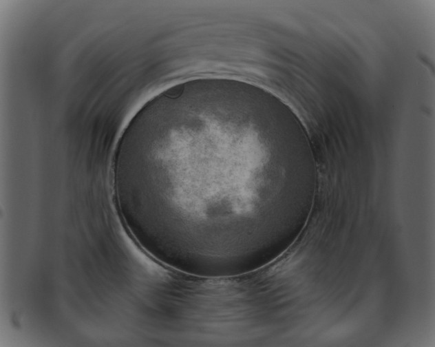 X0000095681531200801221215