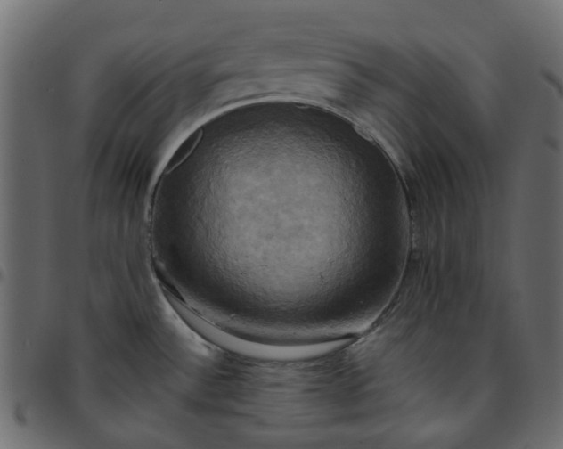 X0000095681532200801221215