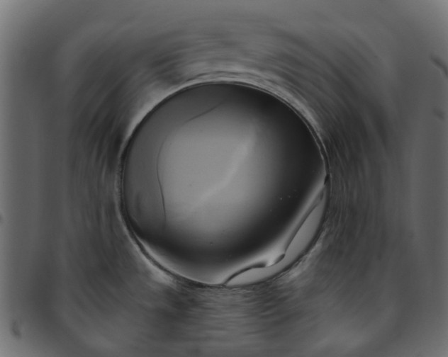 X0000095681533200801221215