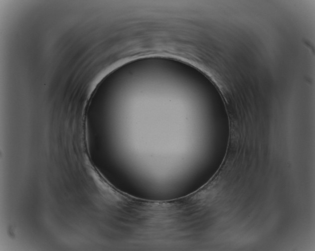 X0000095681534200801221215
