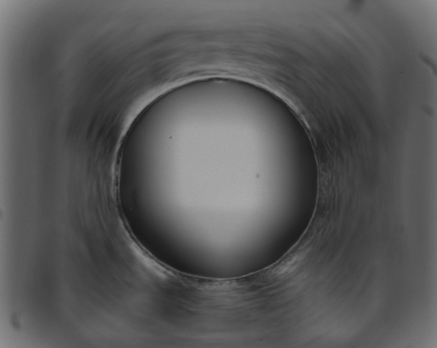 X0000095681535200801221215